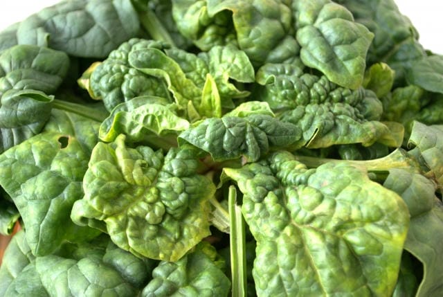 ほうれん草の変色したものは食べられる？酸化と腐敗の見極め方